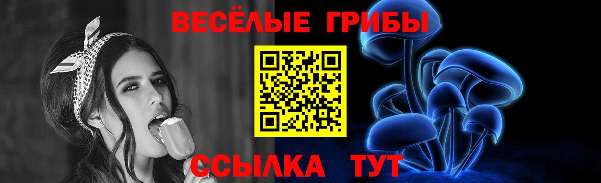 Печора  Галлюциногенные грибы Psilocybine cubensis  Вход с VPN 